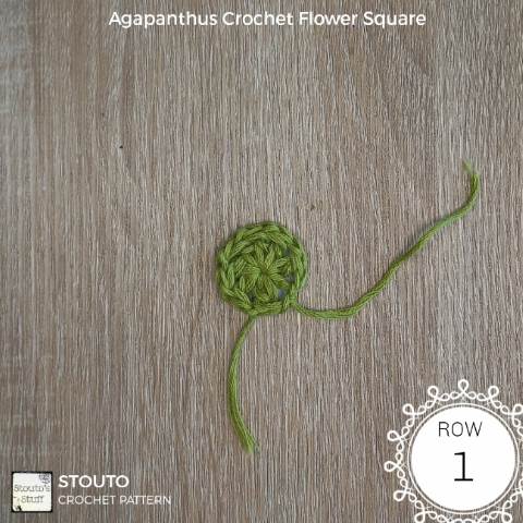 agapanthus granny square round 1