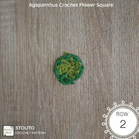agapanthus granny square round 2