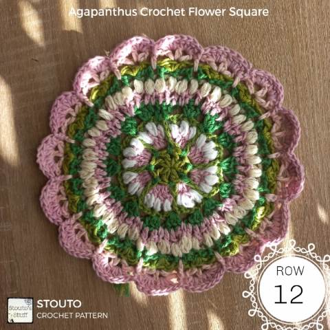 agapanthus granny square round 12