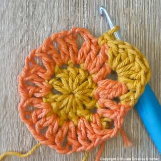 Big Flower Crochet Squares Steps Round 03