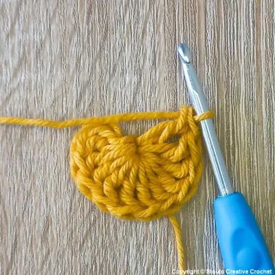 Free Crochet Pattern Big Flower Crochet Square Round 1