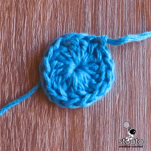 Star Flower Granny Square round 1 worked into a magic ring
