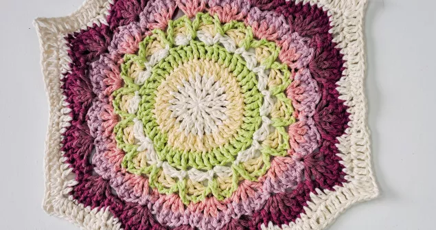 Protea Hexagon Crochet Pattern